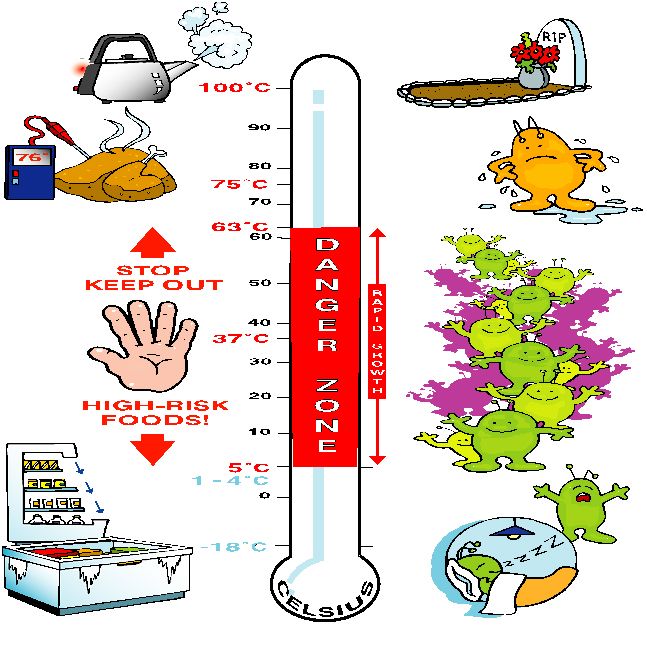Food Temperature Danger Zone: Understanding the Perfect Environment for Bacterial Growth