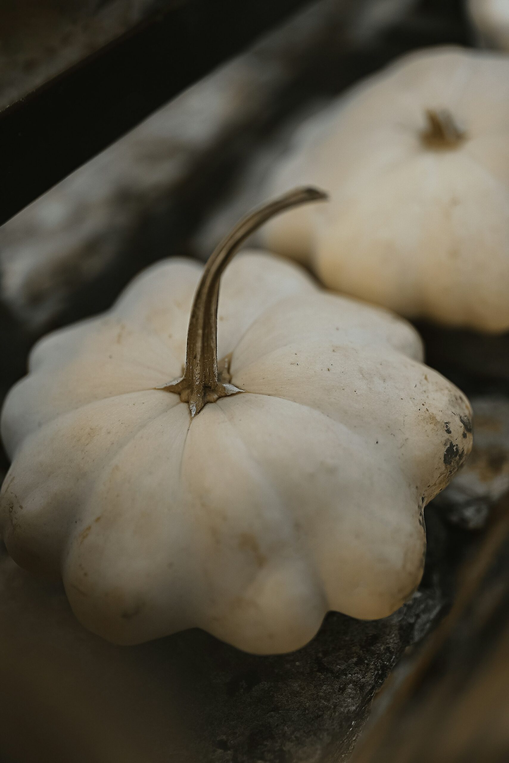 Seasonal Foraged Mushroom Risotto: Variations, Techniques, and Expert Guidance