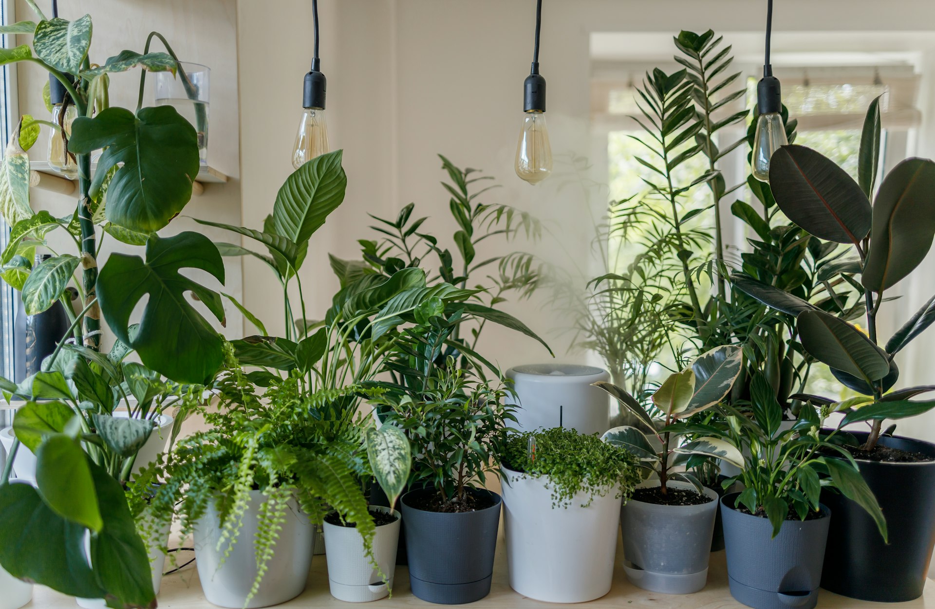 Eco-Friendly Indoor Gardening Setups: Sustainable Solutions for a Greener Home