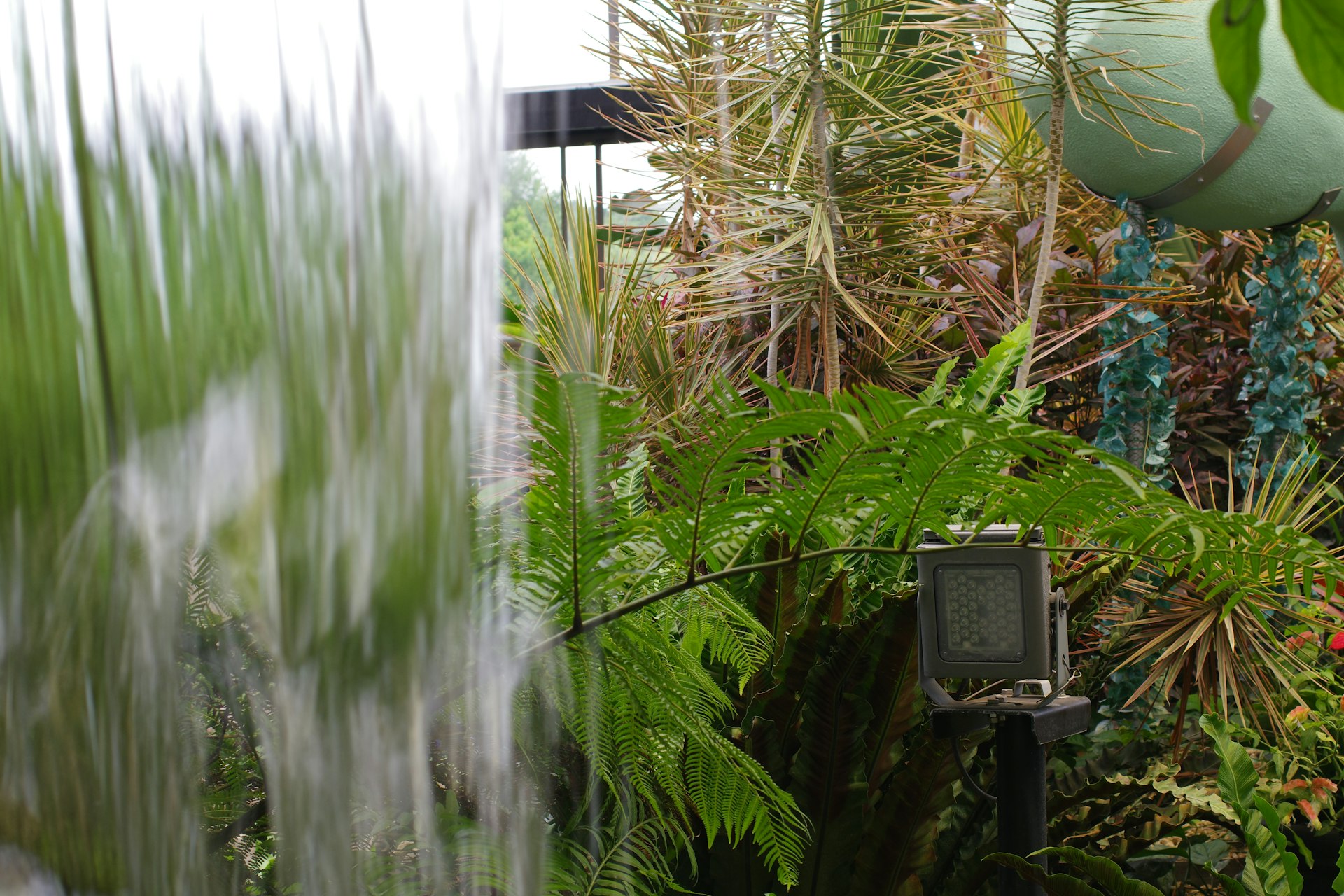Transform Your Home Garden with Effective Rainwater Harvesting Solutions