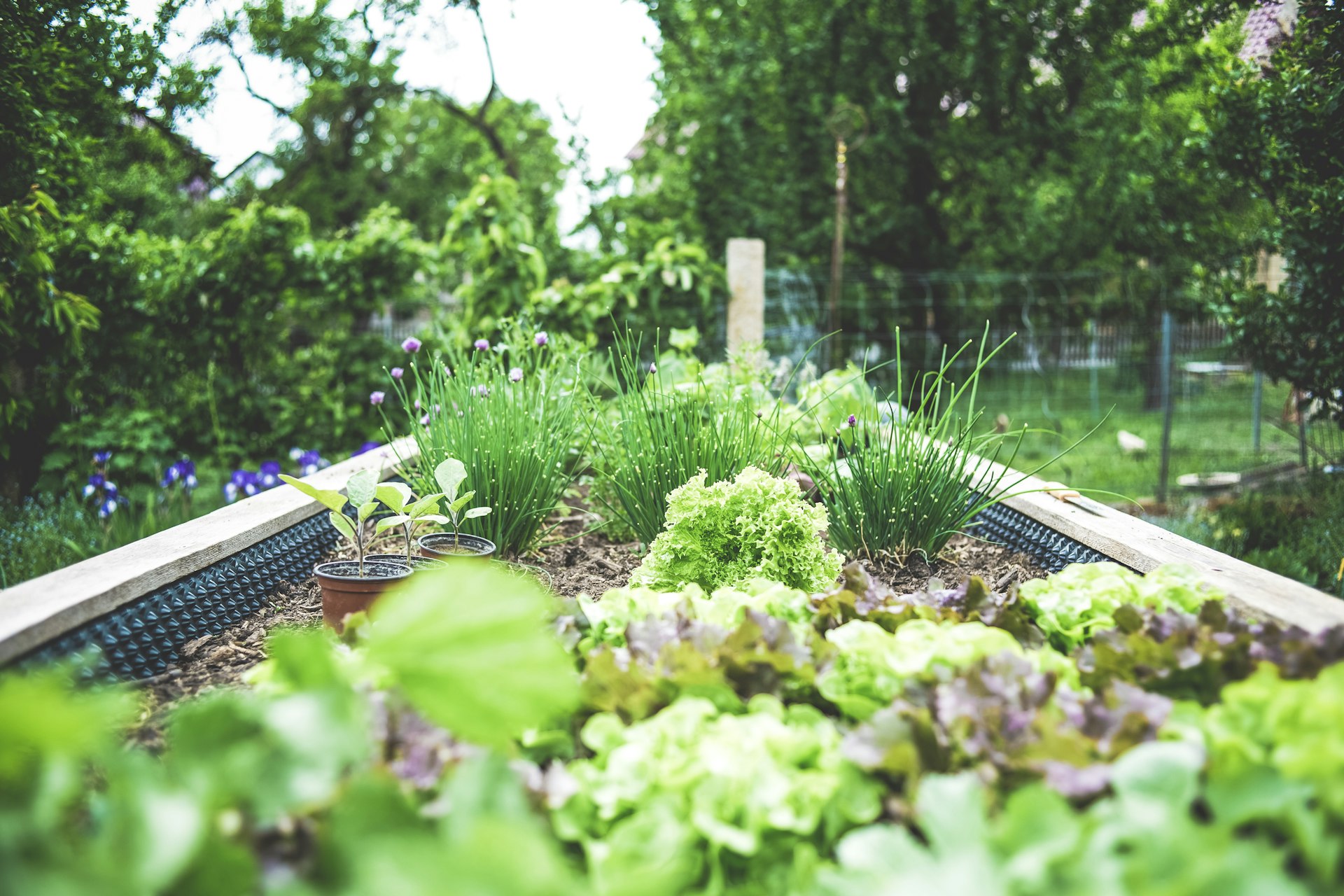How Smart Garden Sensor Systems Revolutionize Houseplant Care