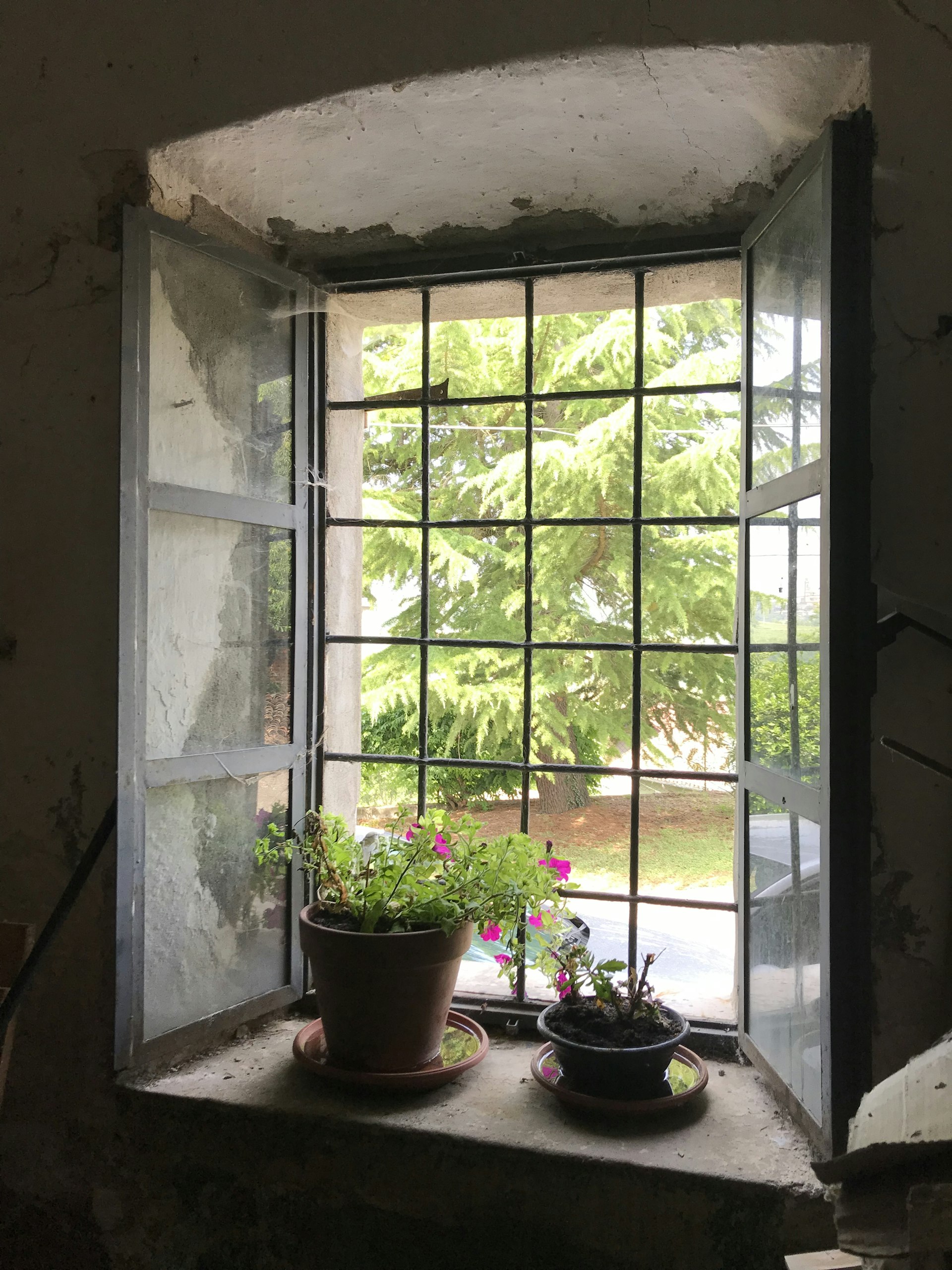 Transform Your Garden: Create a Vertical Planter with Antique Window Frames
