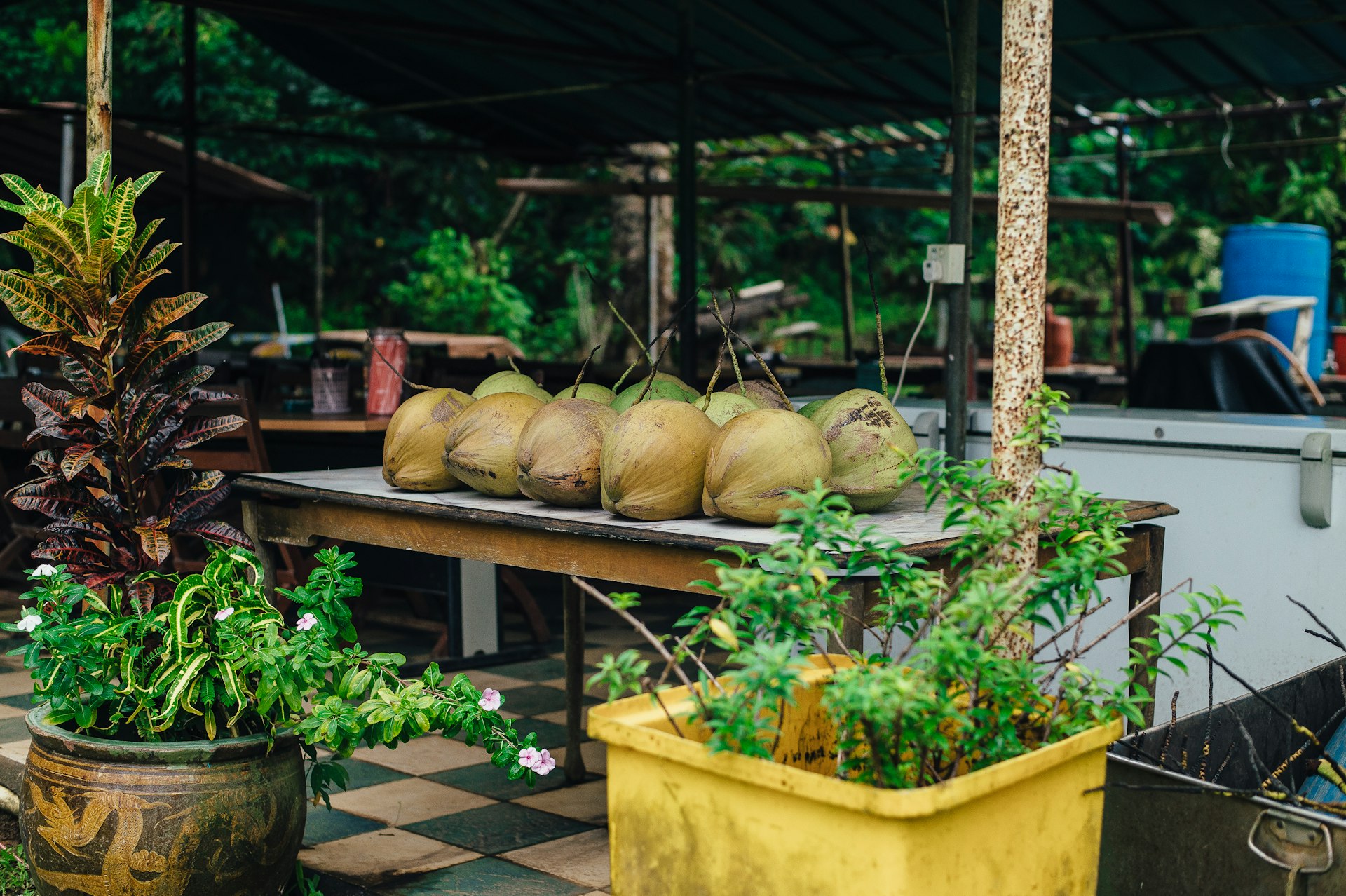 Discover Authentic Culinary Journeys: Farm-to-Table Travel Tours for Food Lovers