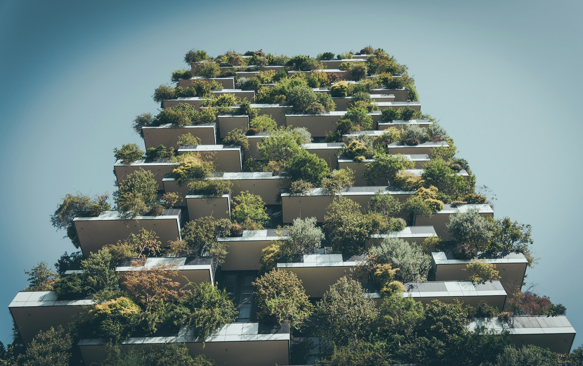Unlocking the Future: How Carbon Neutral Housing Projects Are Shaping Sustainable Living