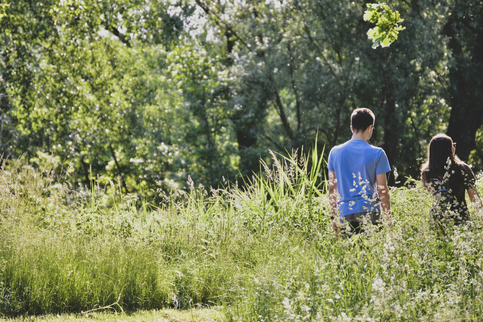 Unlocking Mental Wellness: How Outdoor Activities Transform Mind and Mood