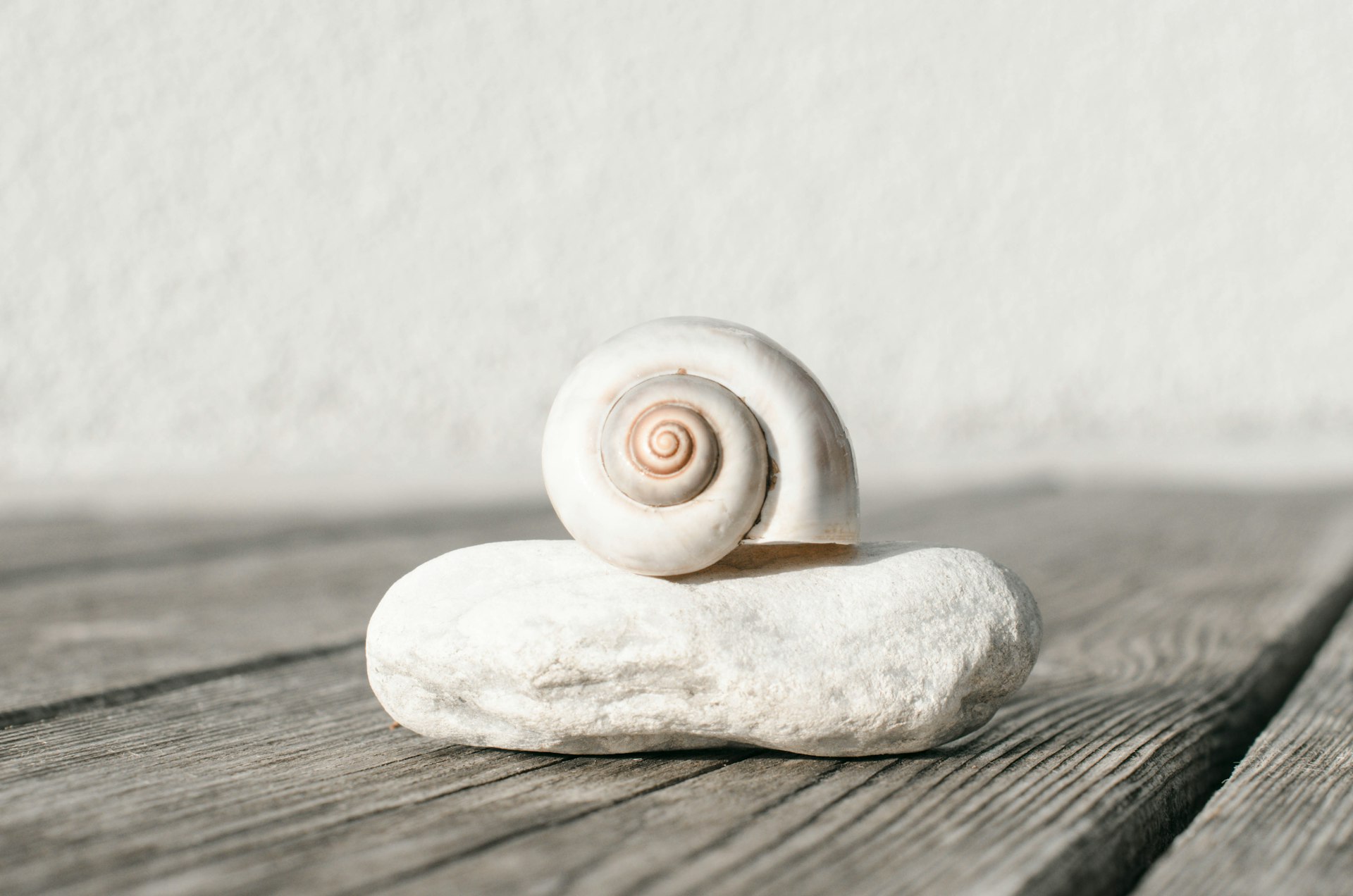 Transform Your Life: Practical Strategies for Embracing Slow Living and Mindfulness