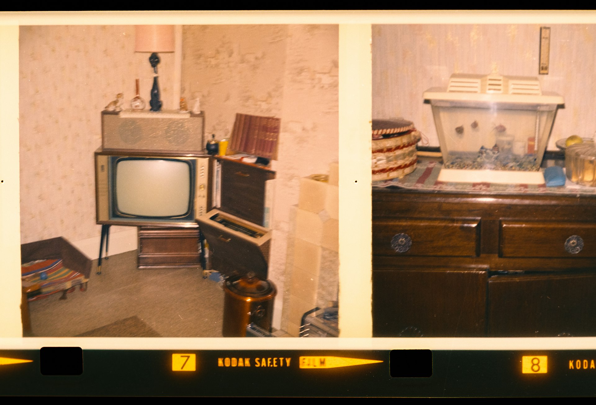 Understanding Edith Bunker's Age in All in the Family: Facts, Context, and Cultural Impact